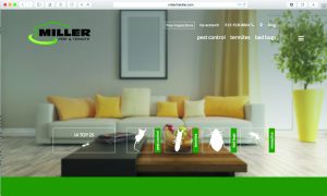 Photo: ©istock.com/Amplionus