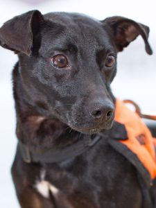 photo: Heather Gooch