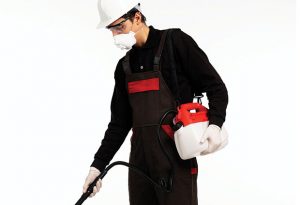 Photo: ©istock.com/KEMAL BA