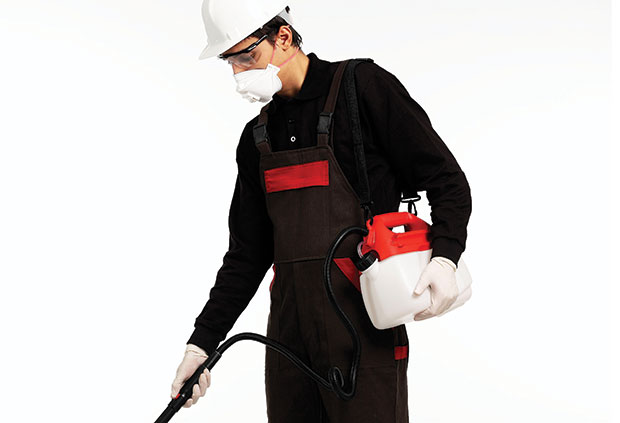 Photo: ©istock.com/KEMAL BA