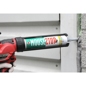 photo: MouseStop.com