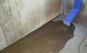 Photo: Mark Sheperdigian