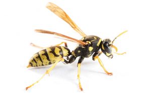 PHOTO: ISTOCK.COM/ARLINDO71