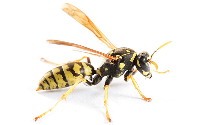 PHOTO: ISTOCK.COM/ARLINDO71