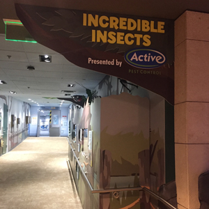 Photo: Active Pest Control