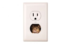 Mouse in an outlet photo from istock.com/James Brey