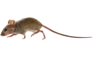 PHOTO: ISTOCK.COM/GLOBALP