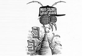 Illustration: Leo Michael