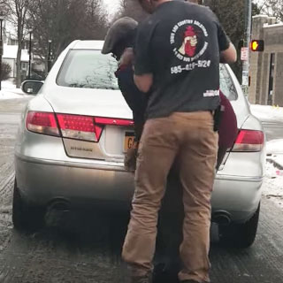 Credit: Town and Country Pest Solutions Inc