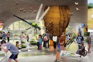 Image: American Museum of Natural History