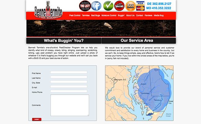 Photo: Bennett Termite