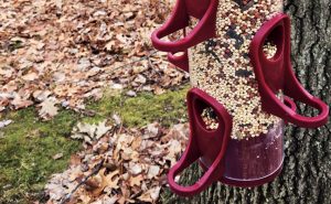 Photo: Mark Sheperdigian, BCE