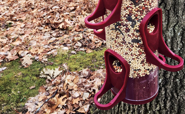 Photo: Mark Sheperdigian, BCE