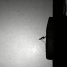 Photo: University of Warwick