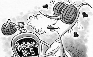 Illustration: Leo Michael