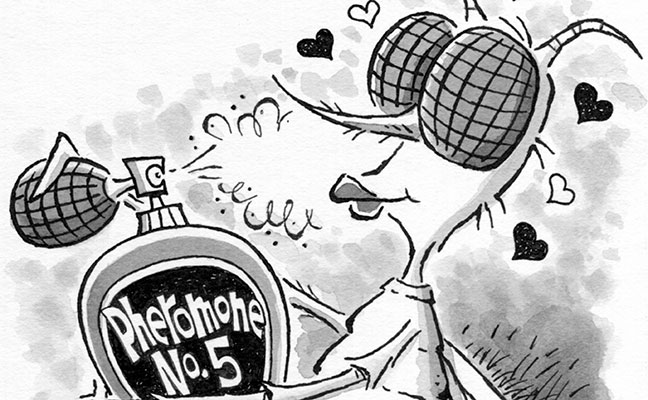 Illustration: Leo Michael