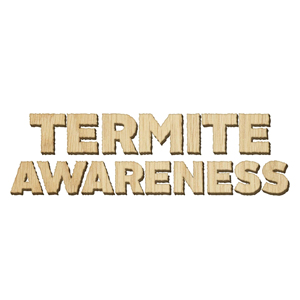 #TermiteWeek
