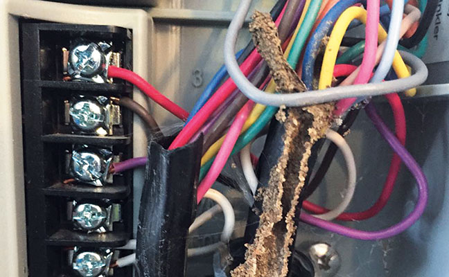 Photo: Kevin Rollins