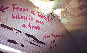 Photo: Eric Scherzinger