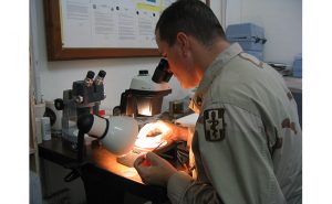 Photo: Osborne Pest Management