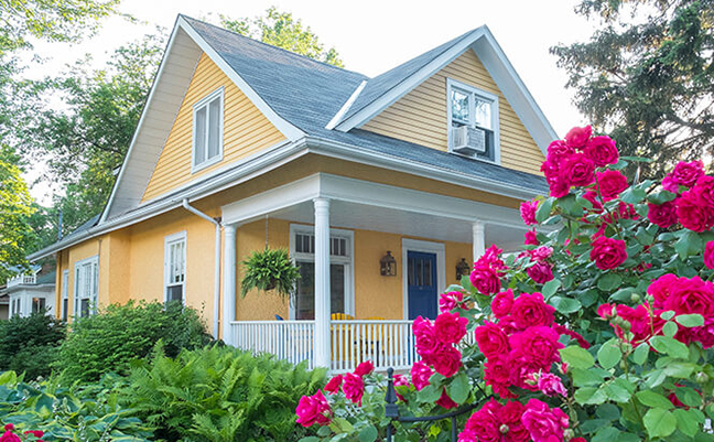 Terminix Spring image