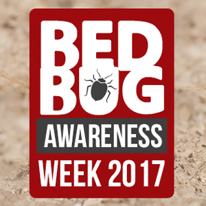 #BedBugWeek