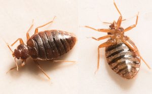 PHOTO: ISTOCK.COM/SAHILU