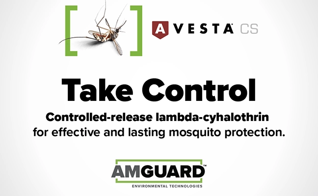 graphic for Avesta CS