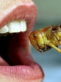 Image courtesy of Google.