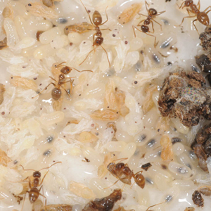 PHOTO: Dr. Blake Layton