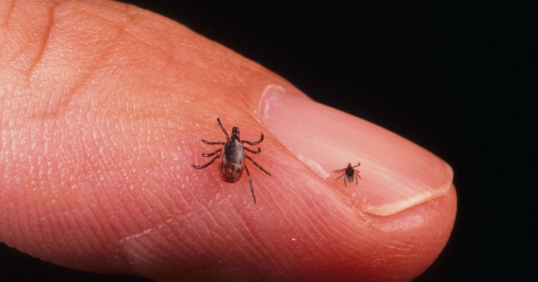 Courtesy of WTVR news.