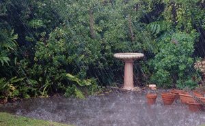 Photo: ©iStock.com/doug4537