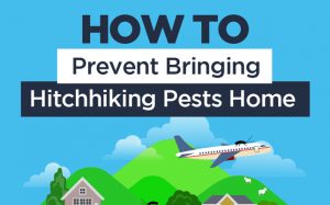 SOURCE: FREEDOM PEST CONTROL