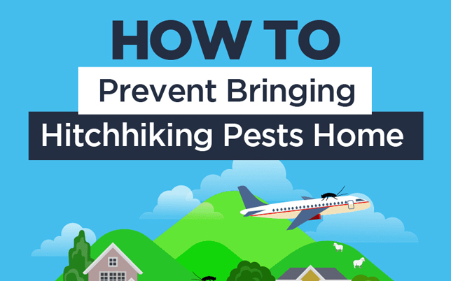 SOURCE: FREEDOM PEST CONTROL