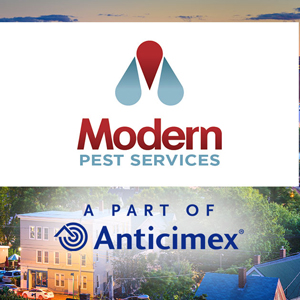 Photo: Modern Anticimex