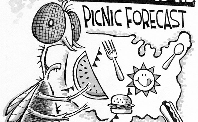 Illustration: Leo Michael