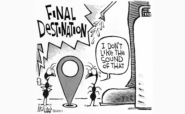 Illustration: Leo Michael