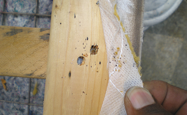 Photos: Mark Sheperdigian, BCE