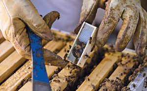 Photos: Michelle White Photography