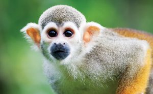 PHOTO: iStock.com/ViktorCap