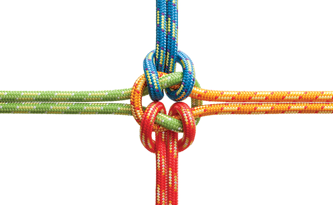 PHOTO: iStock.com/malerapaso