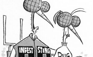 Illustration: Leo Michael