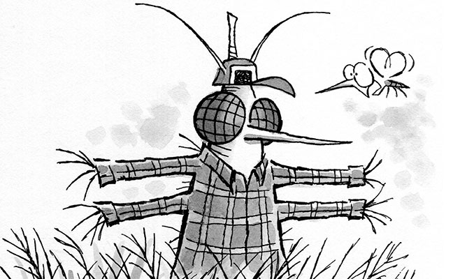 Illustration: Leo Michael