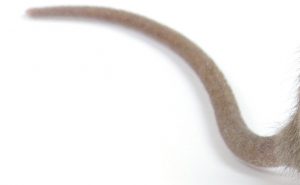 PHOTO: iStock.com/Pakhnyushchyy