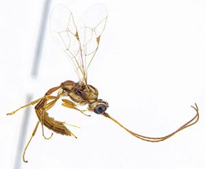 Photo: tomsaunders.co.nz/about