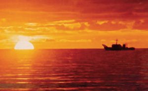 Photo: Marty Whitford