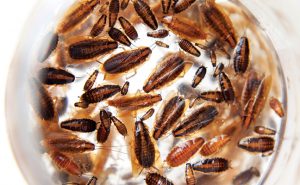 PHOTO: iStock.com/Punkbarby