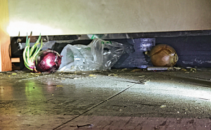 Photo: Mark Sheperdigian, BCE