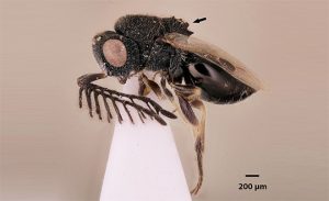 Photo: Flickr / Frost Museum