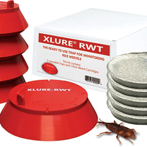 Photo provided by J.F Oakes